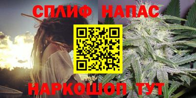 ECSTASY Бузулук
