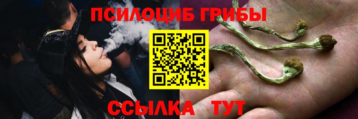 Галлюциногенные грибы Cubensis Спасск-Дальний